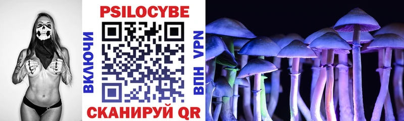 hydra вход  Асбест  Галлюциногенные грибы прущие грибы 