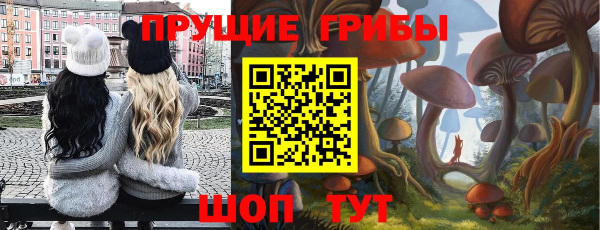 Галлюциногенные грибы мицелий  Псилоцибиновые грибы GOLDEN TEACHER  Асбест  Вход с VPN 