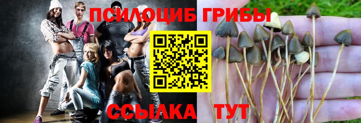 Псилоцибиновые грибы мицелий  где можно купить наркотик  Асбест 